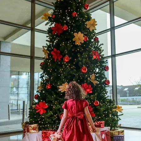 Shearwater & باليناسلو